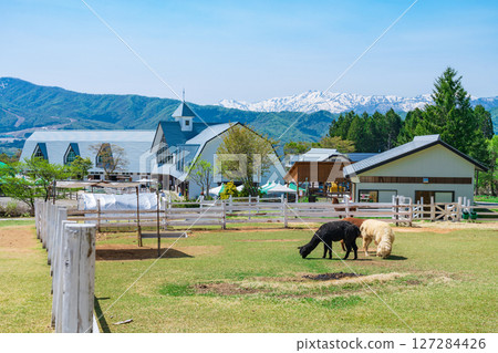 Hirugano Plateau Pastoral Village (Gujo City, Gifu Prefecture) 127284426