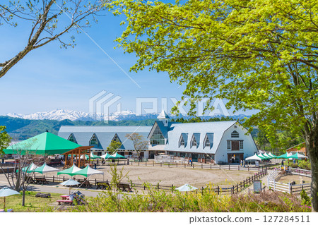 Hirugano Plateau Pastoral Village (Gujo City, Gifu Prefecture) Hirugano Plateau Pastoral Village (Gujo City, Gifu Prefecture) 127284511