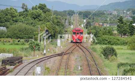 A local train running among the fresh greenery / Kurume City, Fukuoka Prefecture 127284541
