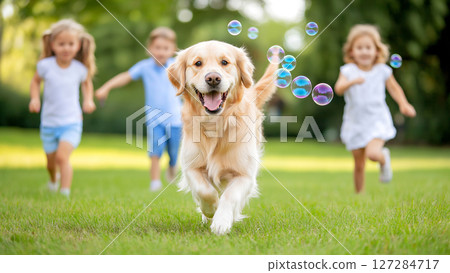 Golden retriever running in a park with soap bubbles and children playing 127284717