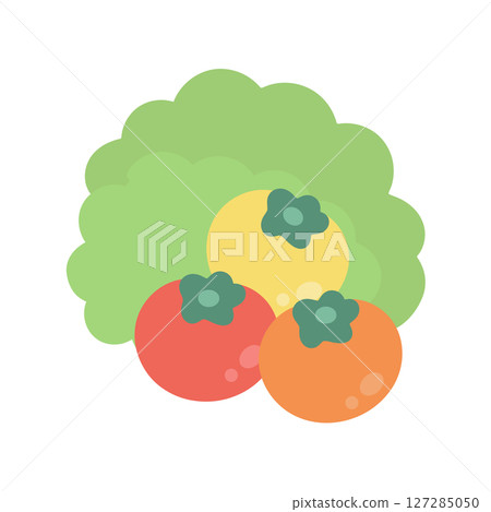 Cherry tomato, cherry tomato, lettuce illustration Cherry tomato, cherry tomato, lettuce illustration 127285050