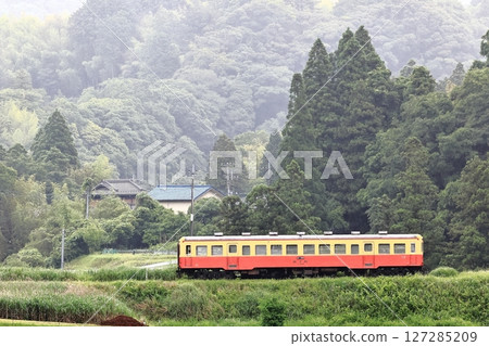 Kominato railroad in early summer 127285209
