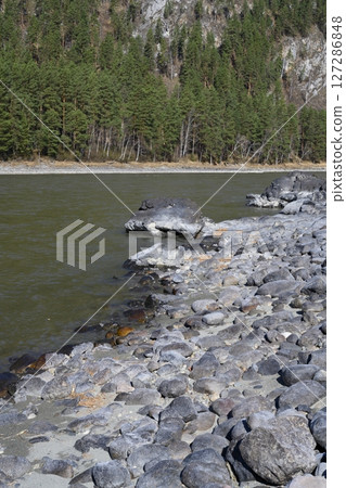 The rocky shore of the Katun River with a mountain overgrown with forest in the Altai Mountains The rocky shore of the Katun River with a mountain overgrown with forest in the Altai Mountains 127286848
