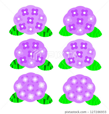 A set of elegant and mature flowers with calm purple hydrangeas 127286933