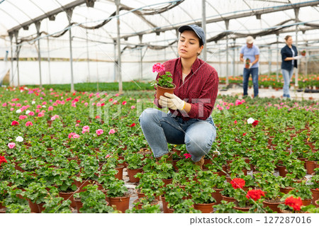 Young woman holding flower pot with peralgonium Young woman holding flower pot with peralgonium 127287016