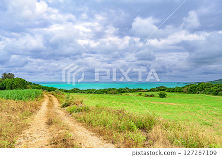 Ishigaki Island scenery where you can enjoy the spectacular view of sugarcane fields and the ocean Ishigaki Island scenery where you can enjoy the spectacular view of sugarcane fields and the ocean 127287109