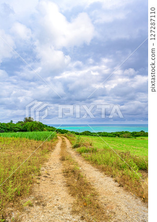 Ishigaki Island scenery where you can enjoy the spectacular view of sugarcane fields and the ocean 127287110