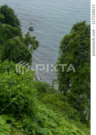 View of the Black Sea from a height down between the trees View of the Black Sea from a height down between the trees 127288033