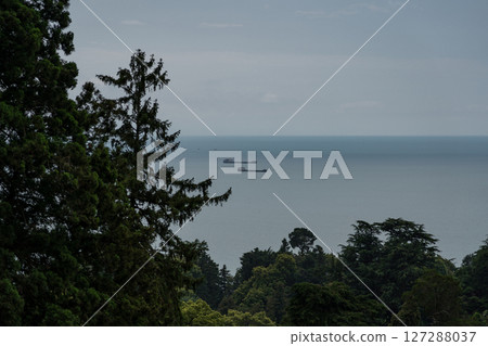 Two cargo ships are sailing far away on the Black Sea, Georgia, botanical garden Two cargo ships are sailing far away on the Black Sea, Georgia, botanical garden 127288037
