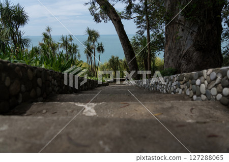 Steps down in the Botanical Garden of Georgia. View of the Black Sea Steps down in the Botanical Garden of Georgia. View of the Black Sea 127288065