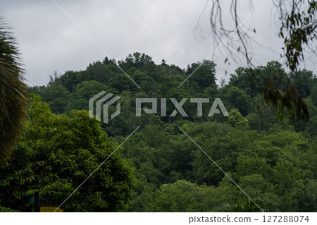 View of the botanical garden in Georgia, from a height 127288074