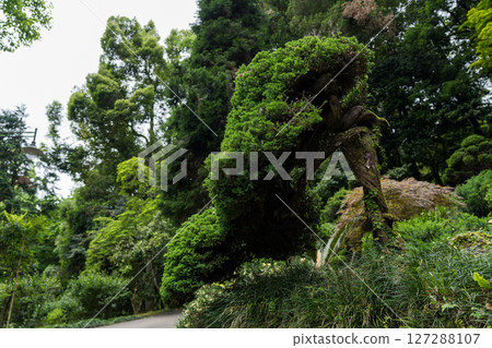 Japanese garden in the Botanical Garden of Georgia. plants. Japanese small tree 127288107