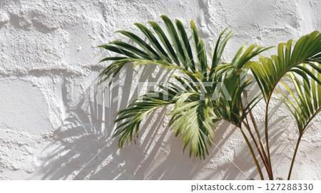 Green Palm Leaves Against White Wall 127288330