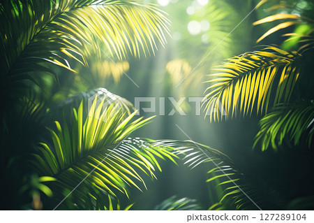 Close up of tropical leaves in sunlight. Exotic abstract natural green lush background. Sunny garden. Inspire relaxing nature. Banner 127289104