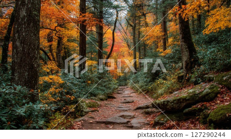Autumnal Forest Path with Colorful Foliage 127290244