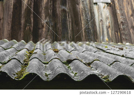 Old and covered with moss wavy roof slates covers the barn 127290618