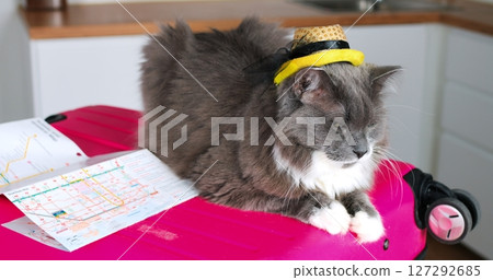 Whimsical gray feline lounging on bright pink suitcase, wearing playful yellow hat, surrounded by travel map, embodying humorous travel ready mood Whimsical gray feline lounging on bright pink suitcase, wearing playful yellow hat, surrounded by travel map, embodying humorous travel ready mood 127292685