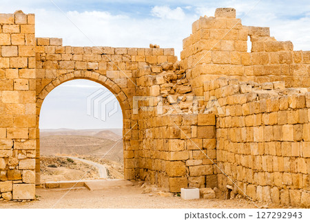 View of the ruins of Avdat, in the Negev Desert, Southern Israel 127292943