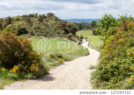 Winding trail through the lush French Pyrenees on the Camino de Santiago journey Winding trail through the lush French Pyrenees on the Camino de Santiago journey 127293132