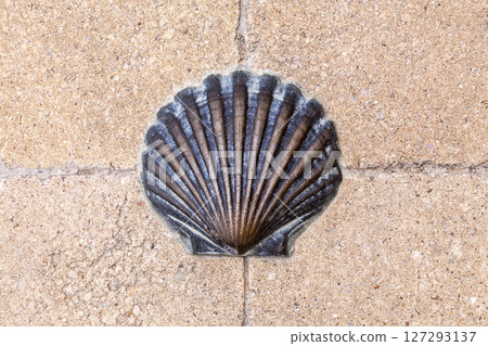 A bronze shell embedded in a textured stone pathway at a historic pilgrimage site A bronze shell embedded in a textured stone pathway at a historic pilgrimage site 127293137