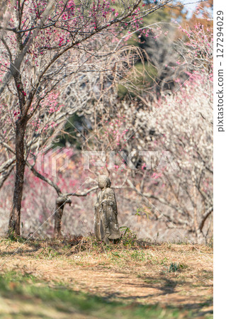 Plums at Atamadai Shell Mound Plum Grove Plums at Atamadai Shell Mound Plum Grove 127294029