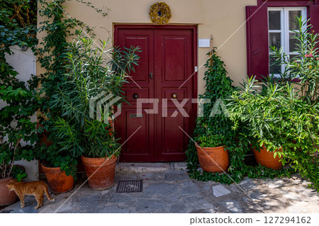 Charming and cozy entrance of traditional house in Athens Greece featuring a red door framed by lush green plants and terracotta pots, and street cat 127294162