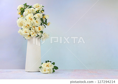 Still life with beautiful flowers of cream rose and rose hips on elegant modern table,Abstract flower arrangement. template for your design with place for text, minimalist beauty concept 127294214