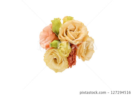 白色背景上的洋桔梗花束 白色背景上的洋桔梗花束 127294516