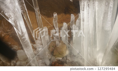 Ice bamboo shoots at Yokotani Gorge Ice bamboo shoots at Yokotani Gorge 127295484