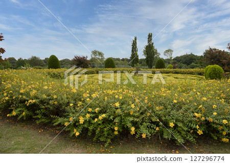 Funabashi Andersen Park flower bed scenery Funabashi Andersen Park flower bed scenery 127296774