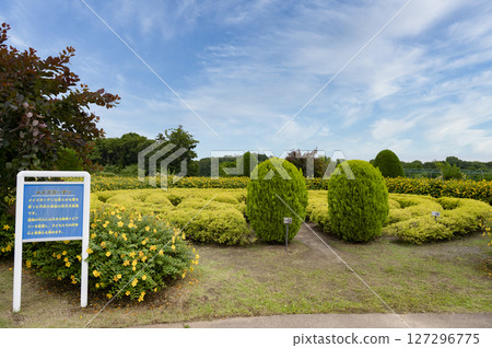 Funabashi Andersen Park flower bed scenery Funabashi Andersen Park flower bed scenery 127296775