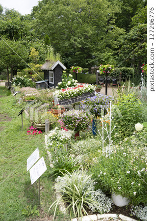 船橋安徒生公園花壇風光 船橋安徒生公園花壇風光 127296776