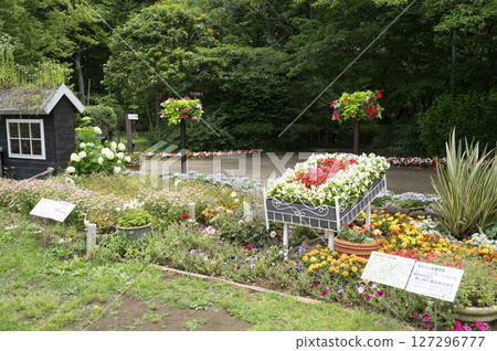 船橋安徒生公園花壇風光 船橋安徒生公園花壇風光 127296777