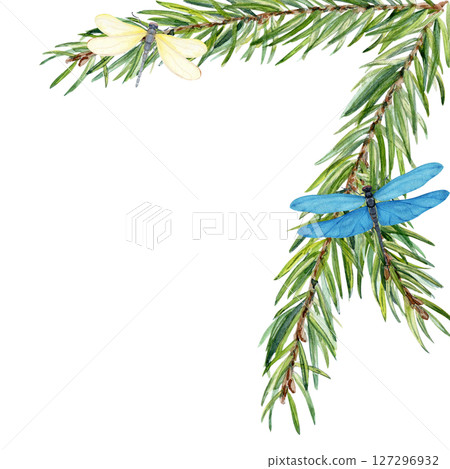 Fir branches forming a corner frame with two dragonflies isolated on white. Watercolor illustration ideal for eco branding, packaging, wedding invites, seasonal greeting cards, natural product labels 127296932