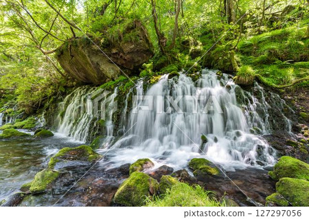 初夏秋田縣尼卡保市的元崎伏ry龍和元崎河流量 127297056