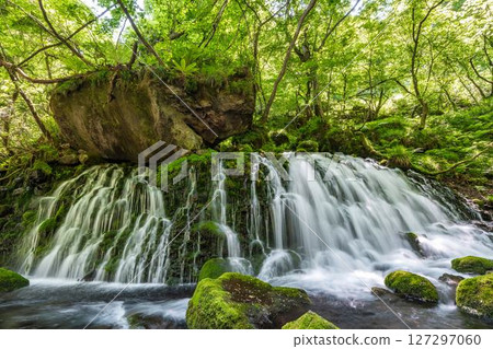 The flow of Mototaki Fushiryo and Mototaki River in early summer Nikaho City, Akita Prefecture 127297060