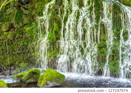 The flow of Mototaki Fushiryo and Mototaki River in early summer Nikaho City, Akita Prefecture 127297074