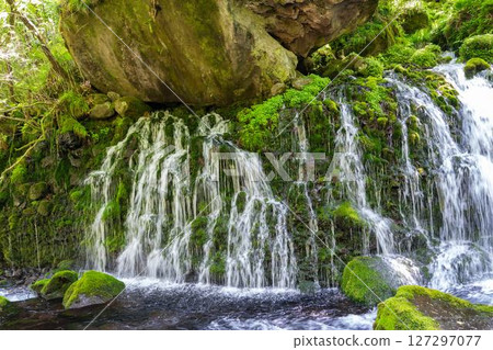初夏秋田縣尼卡保市的元崎伏ry龍和元崎河流量 初夏秋田縣尼卡保市的元崎伏ry龍和元崎河流量 127297077