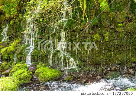The flow of Mototaki Fushiryo and Mototaki River in early summer Nikaho City, Akita Prefecture 127297090