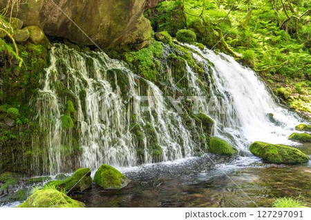 The flow of Mototaki Fushiryo and Mototaki River in early summer Nikaho City, Akita Prefecture 127297091
