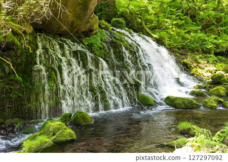 The flow of Mototaki Fushiryo and Mototaki River in early summer Nikaho City, Akita Prefecture 127297092