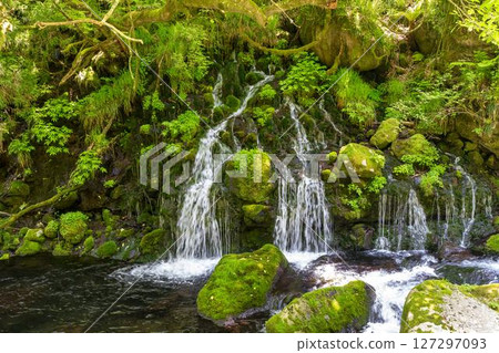 初夏秋田縣尼卡保市的元崎伏ry龍和元崎河流量 初夏秋田縣尼卡保市的元崎伏ry龍和元崎河流量 127297093