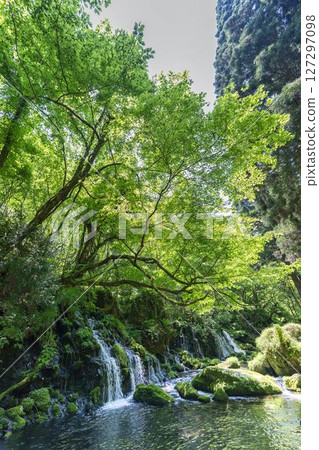The flow of Mototaki Fushiryo and Mototaki River in early summer Nikaho City, Akita Prefecture 127297098
