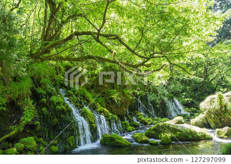 The flow of Mototaki Fushiryo and Mototaki River in early summer Nikaho City, Akita Prefecture The flow of Mototaki Fushiryo and Mototaki River in early summer Nikaho City, Akita Prefecture 127297099