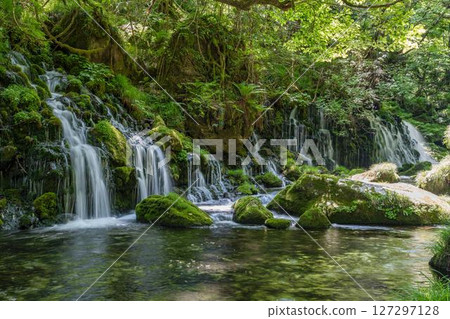 The flow of Mototaki Fushiryo and Mototaki River in early summer Nikaho City, Akita Prefecture 127297128