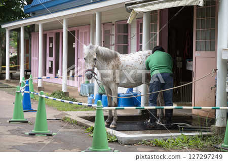 Andersen Park Pony Square Andersen Park Pony Square 127297249