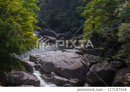 屋久島屋久杉樂園：雄偉的荒川河谷（5月 127297426