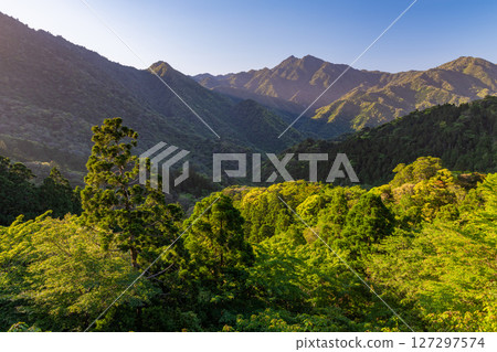 新記錄的嫩葉和斜光——屋久島、阿爾卑斯山近海(春季) 新記錄的嫩葉和斜光——屋久島、阿爾卑斯山近海(春季) 127297574