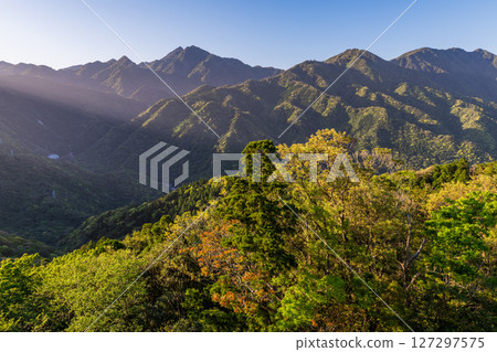 新記錄的嫩葉和斜光——屋久島、阿爾卑斯山近海(春季) 新記錄的嫩葉和斜光——屋久島、阿爾卑斯山近海(春季) 127297575