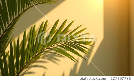 Vibrant green palm leaf casting elegant shadows on a warm yellow wall in soft afternoon light 127297786